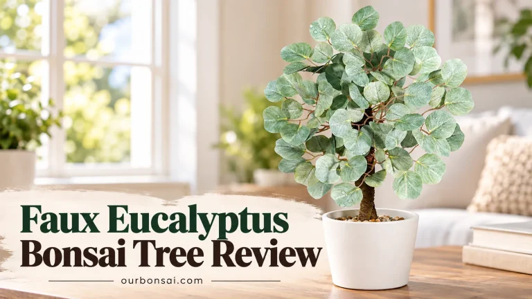 Faux Eucalyptus Bonsai Tree Review