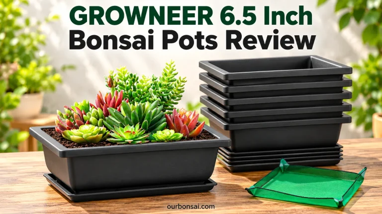 GROWNEER 6.5 Inch Bonsai Pots Review