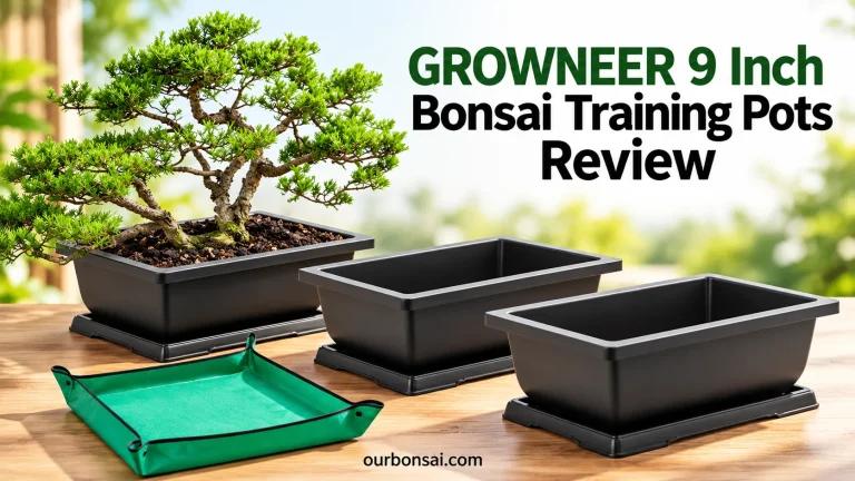 GROWNEER 9 Inch Bonsai Training Pots Review
