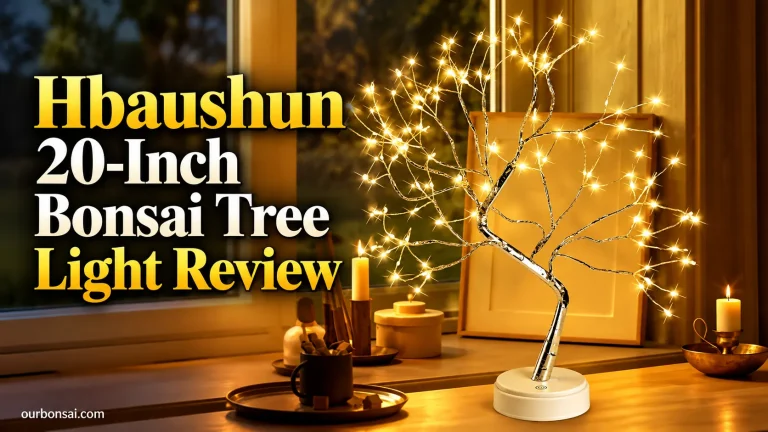 Hbaushun 20-Inch Bonsai Tree Light Review