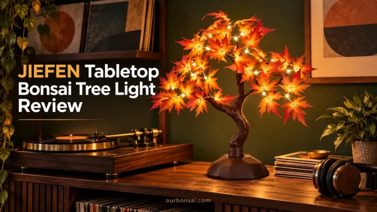 JIEFEN Tabletop Bonsai Tree Light Review