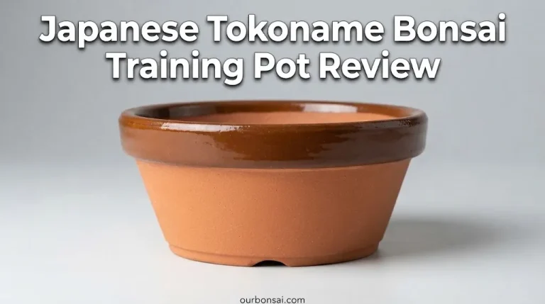 Japanese Tokoname Bonsai Training Pot Review