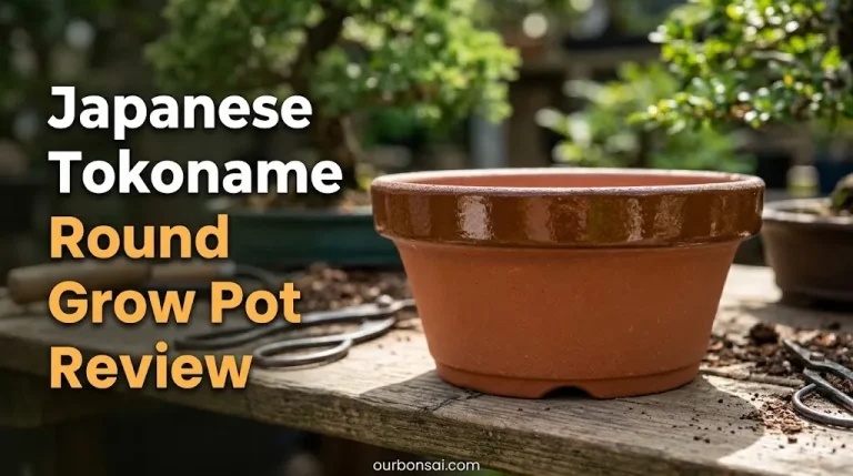Japanese Tokoname Round Grow Pot Review