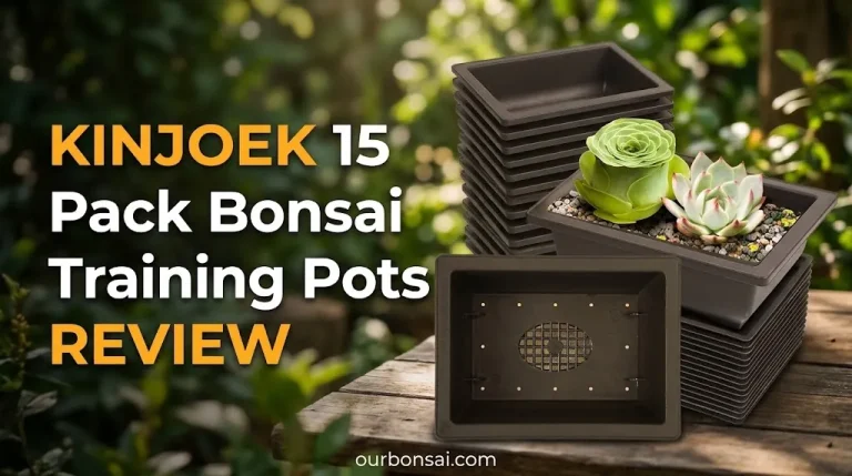 KINJOEK 15 Pack Bonsai Training Pots Review