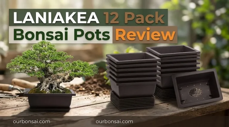 LANIAKEA 12 Pack Bonsai Pots Review