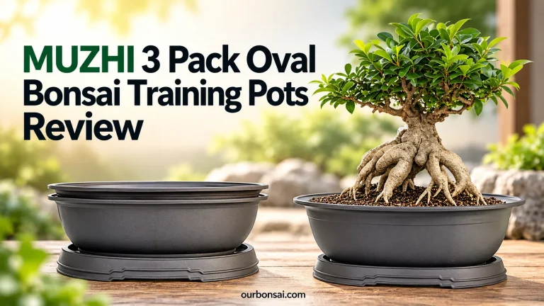 MUZHI 3 Pack Oval Bonsai Training Pots Review