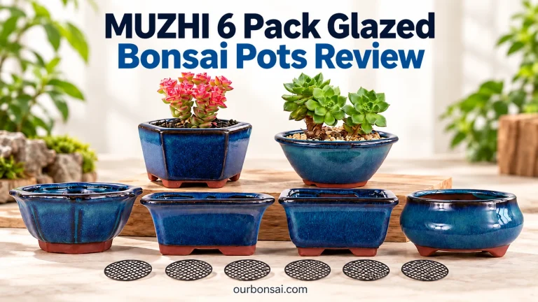 MUZHI 6 Pack Glazed Bonsai Pots Review