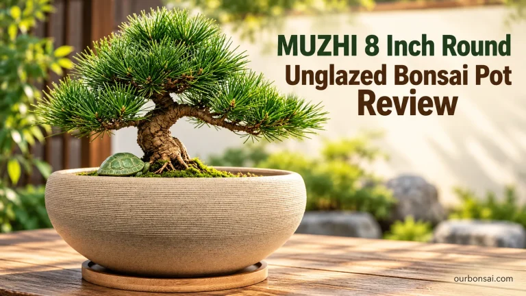 MUZHI 8 Inch Round Unglazed Bonsai Pot Review
