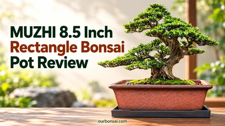 MUZHI 8.5 Inch Rectangle Bonsai Pot Review
