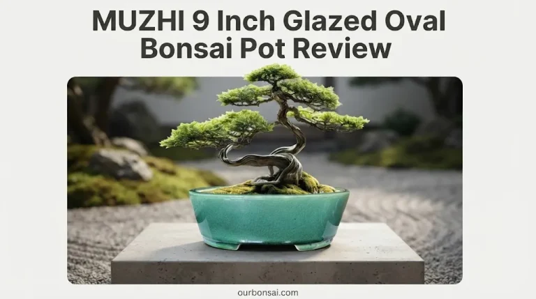 MUZHI 9 Inch Glazed Oval Bonsai Pot Review