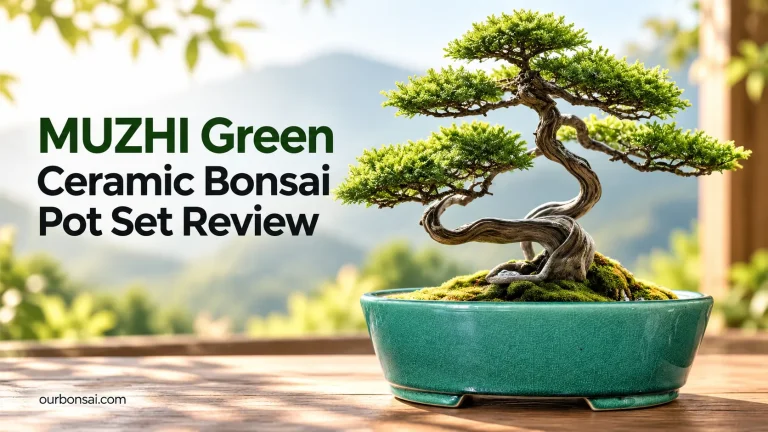 MUZHI Green Ceramic Bonsai Pot Set Review