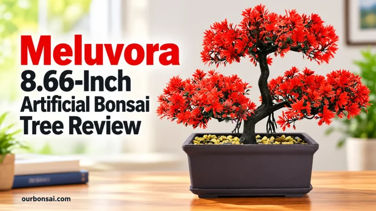 Meluvora 8.66-Inch Artificial Bonsai Tree Review