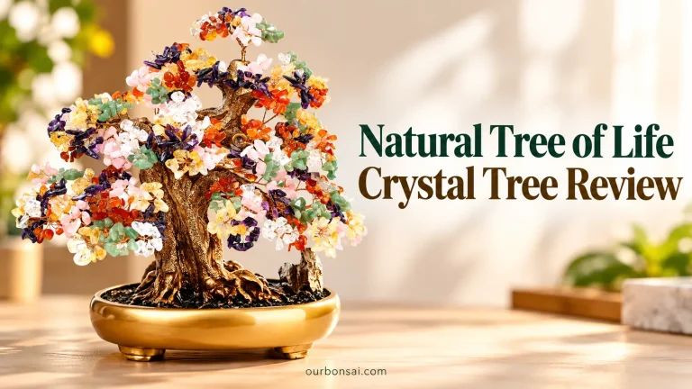 Natural Tree of Life Crystal Tree Review