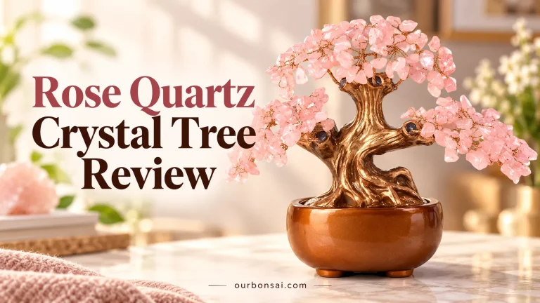 Rose Quartz Crystal Tree Review