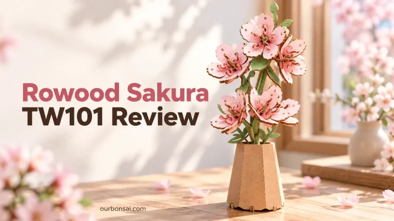 Rowood Sakura TW101 Review