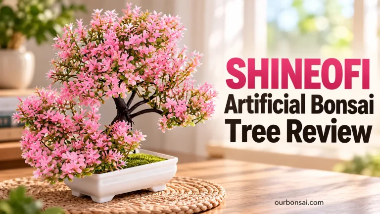 SHINEOFI Artificial Bonsai Tree Review