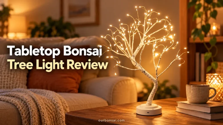 Tabletop Bonsai Tree Light Review
