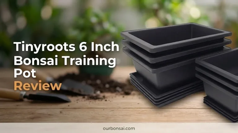 Tinyroots 6 Inch Bonsai Training Pot Review