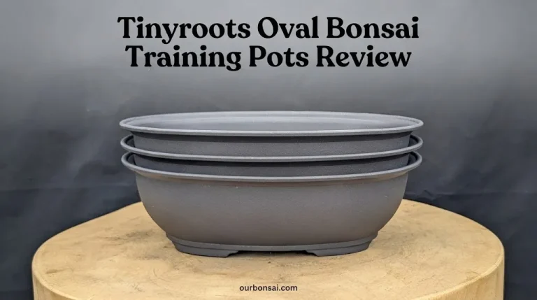 Tinyroots Oval Bonsai Training Pots Review
