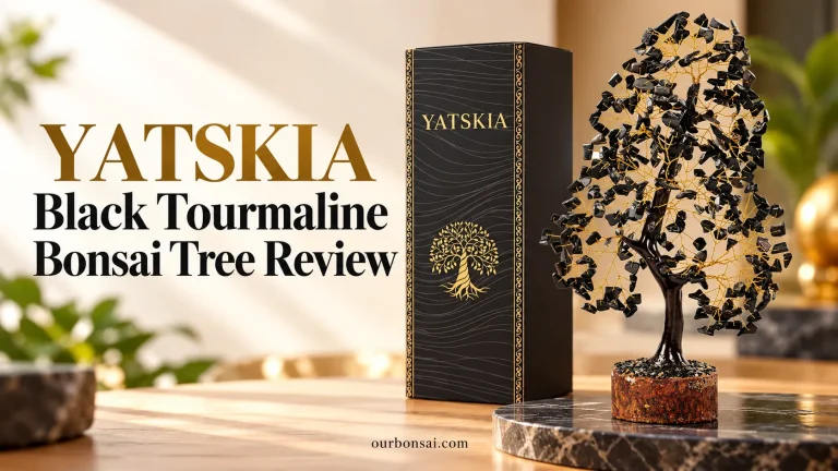 YATSKIA Black Tourmaline Bonsai Tree Review