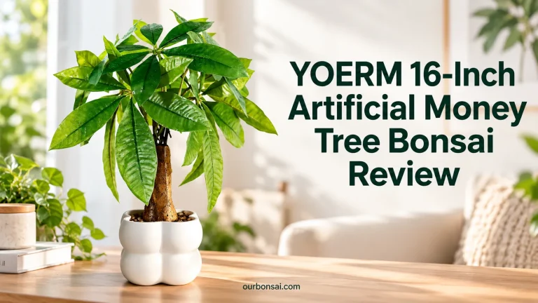 YOERM 16-Inch Artificial Money Tree Bonsai Review